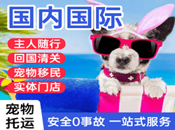 南通航空货运国际宠物托运 【国